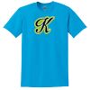 Dryblend™ T-Shirt Thumbnail