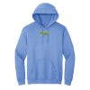 Heavy Blend™ Hoodie Thumbnail