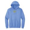 Heavy Blend™ Hoodie Thumbnail