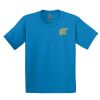 Ultra Cotton® Youth T-Shirt Thumbnail
